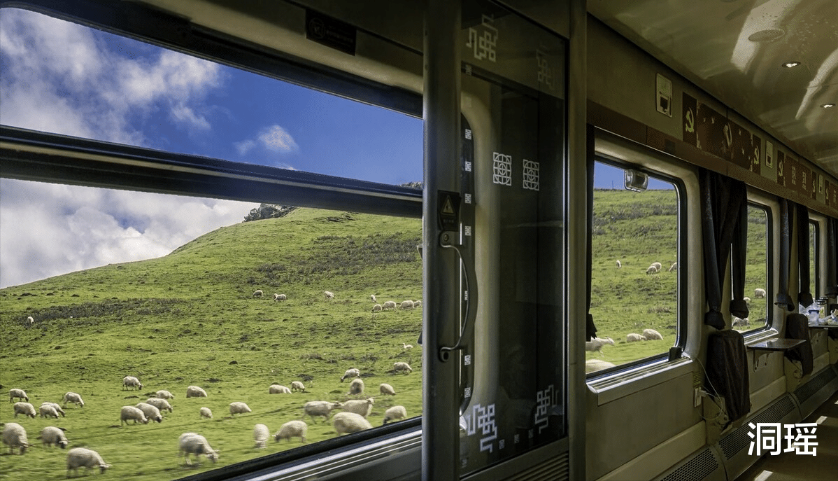 火车|全程3千公里的列车,穿越4省需坐37个小时,票价合理