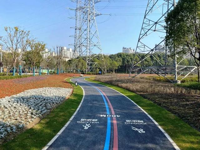 苏州|江景、湖景、湿地景观随你挑！小布带你打卡浦东10座“新晋”城市公园