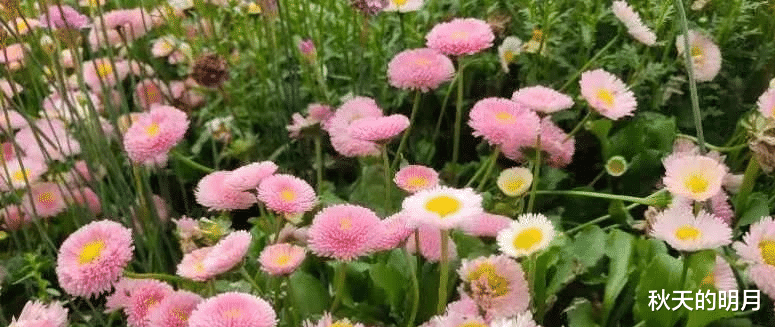 |一个女人越低调越有福气,内心越富足