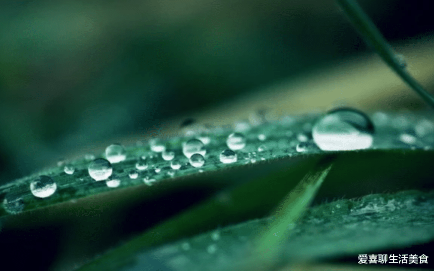 龙眼|9月7号白露来,牢记“1不露、2不做、3要吃、4要藏”,尊重老传统