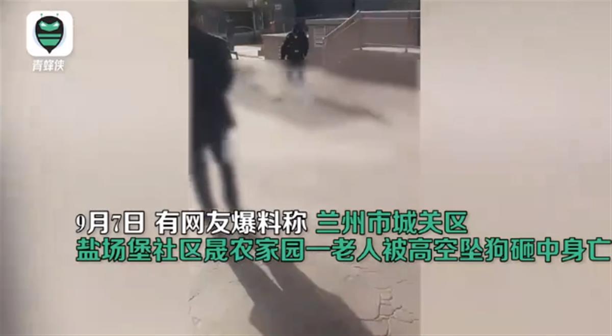 居民被高空坠狗砸中身亡!