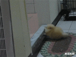 央企|姑娘！你收敛点，这是相亲，不能暴露你的职业呀！