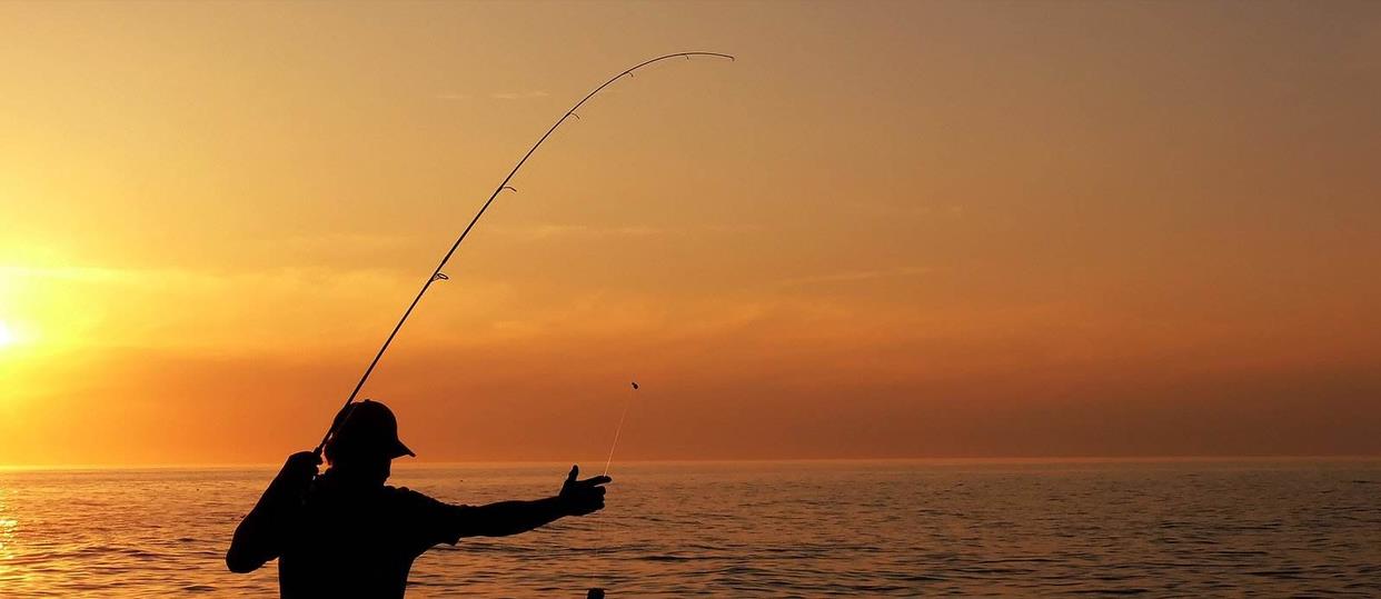 |男子暴晒1天钓了条鱼,刚到家就被偷走,网友却花50元买下送给贼