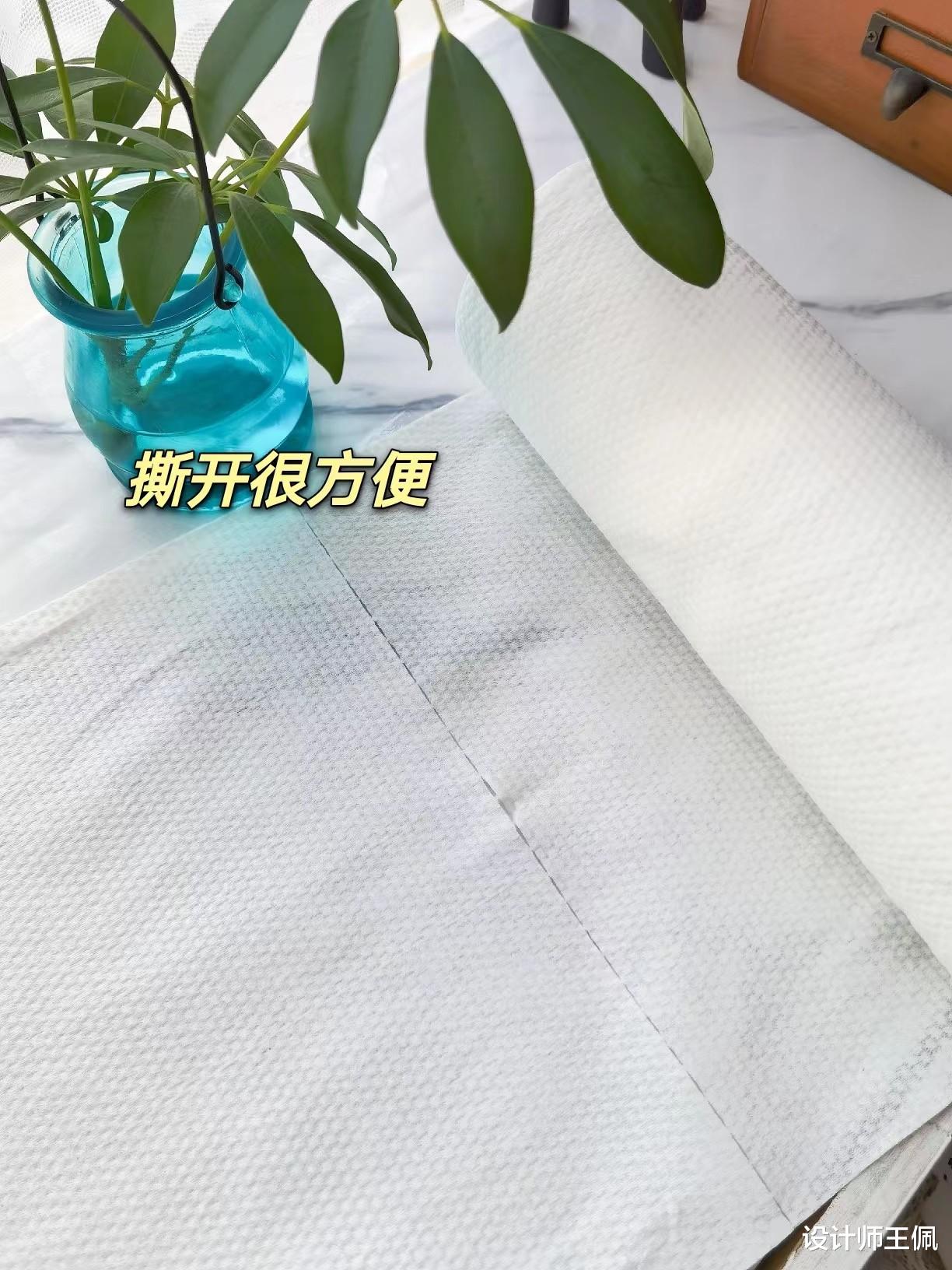 “糊弄式家务法”的悄然流行,并非巧合,是梦想照进了现实