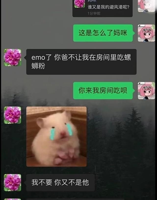 “别劝我，我恋爱脑”，大学生和父母聊天记录走红，指定是亲生的