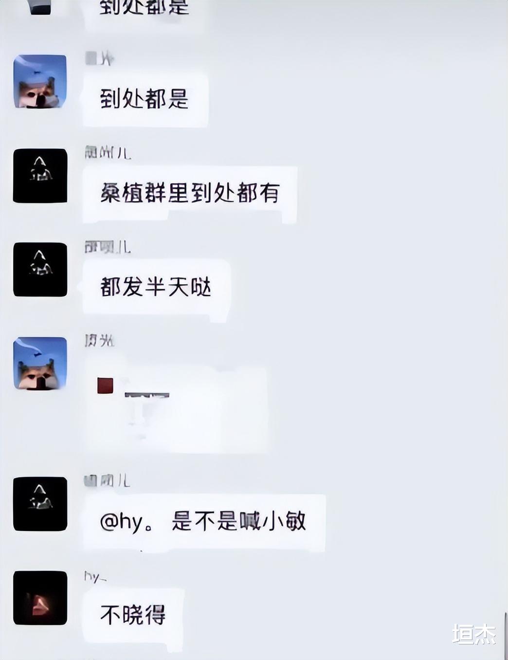人钱都没了!张家界新娘事件大结局,男主发文:希望回归正常生活