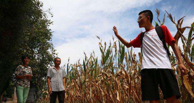 王慧文|美团副总裁王慧文：清华的寒门贵子，年薪1.5亿却选择42岁退休