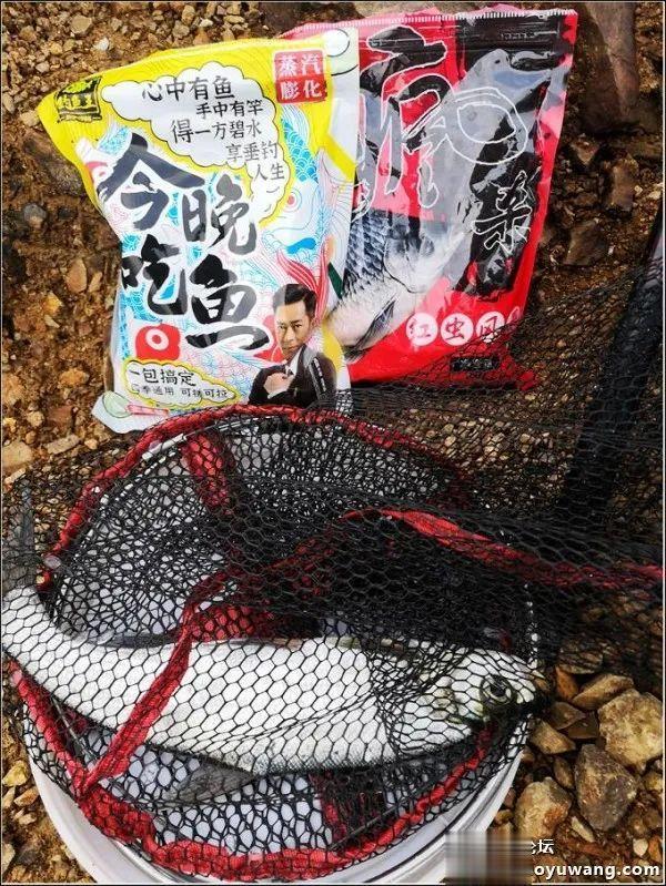 饵料|深水翘嘴最过瘾