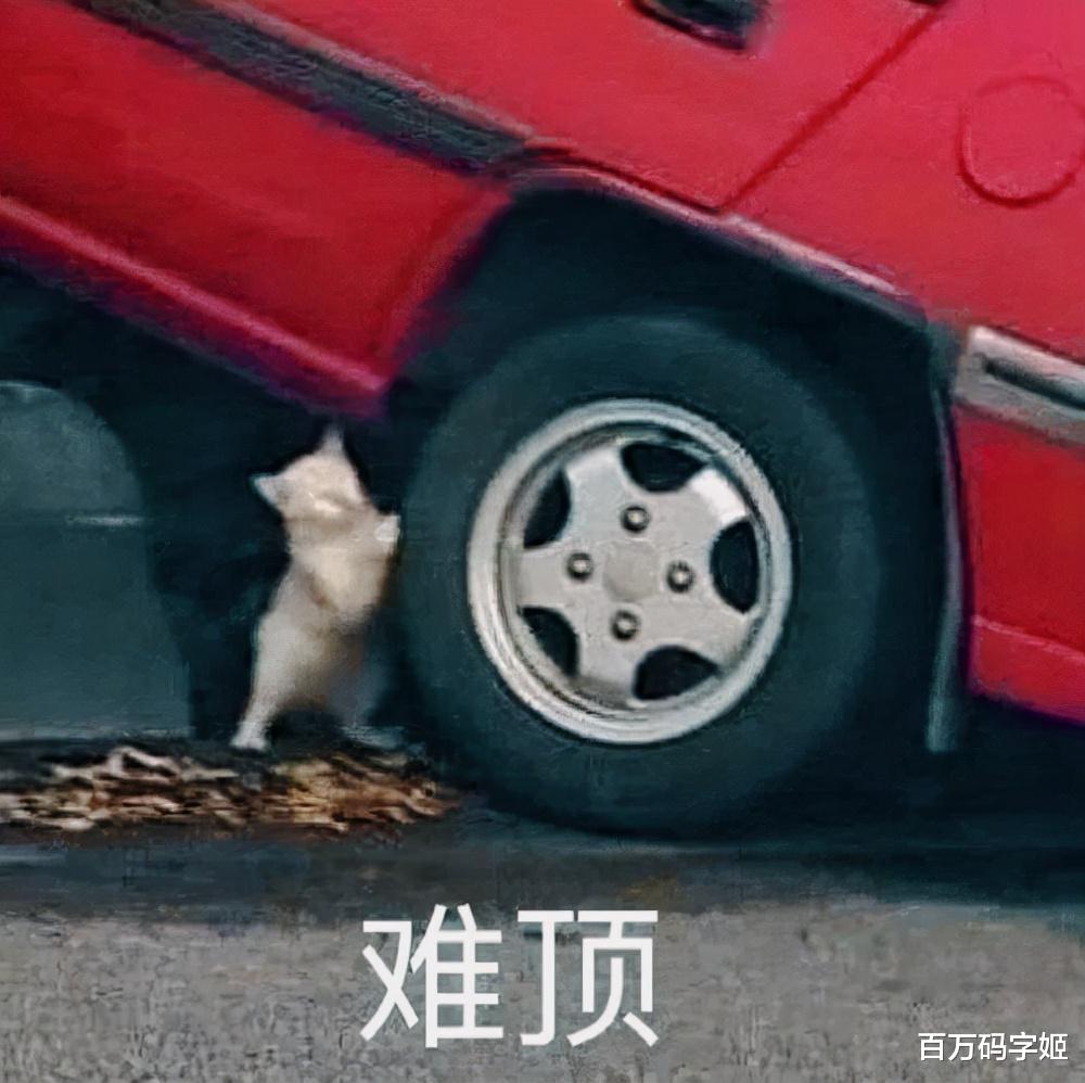 高校|2022高校毕业生超1000万人：“物以稀为贵，人多不值钱”