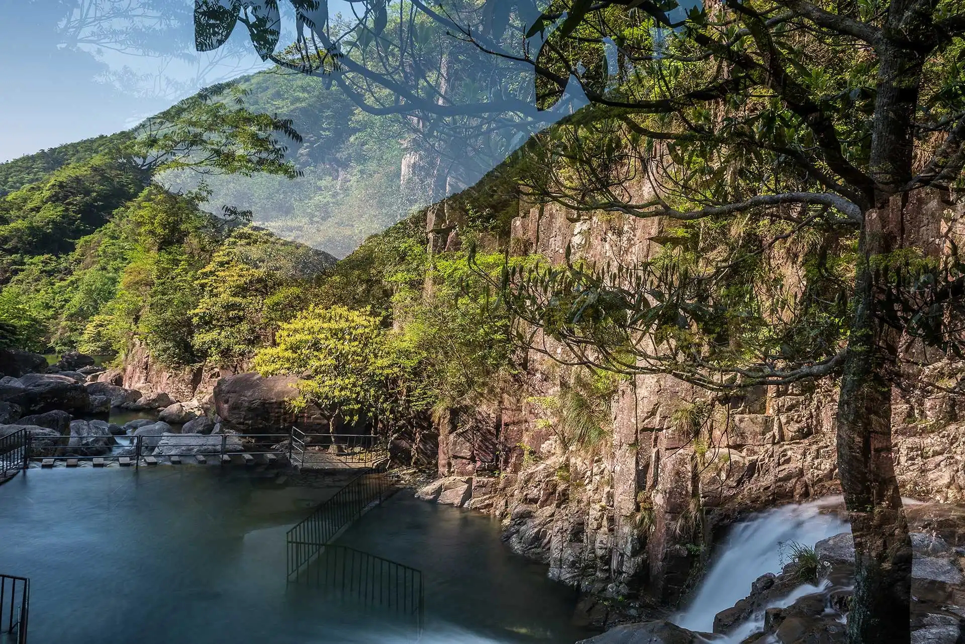 |浙江一座受欢迎的山，动植物种类繁多，珍稀物种荟萃