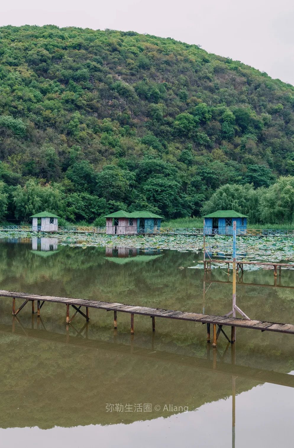 山水画|红河州城外山脚下的农庄，风景美如山水画，荷塘、烧烤、钓鱼，20分钟抵达