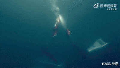 |竟然不灭！冬奥会火炬水下传递，机器人咋做的，用了什么黑科技？