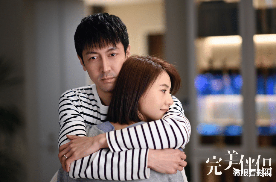 陈珊|《完美伴侣》：精英式人生，还要抱怨家庭工作两难全，过于凡尔赛