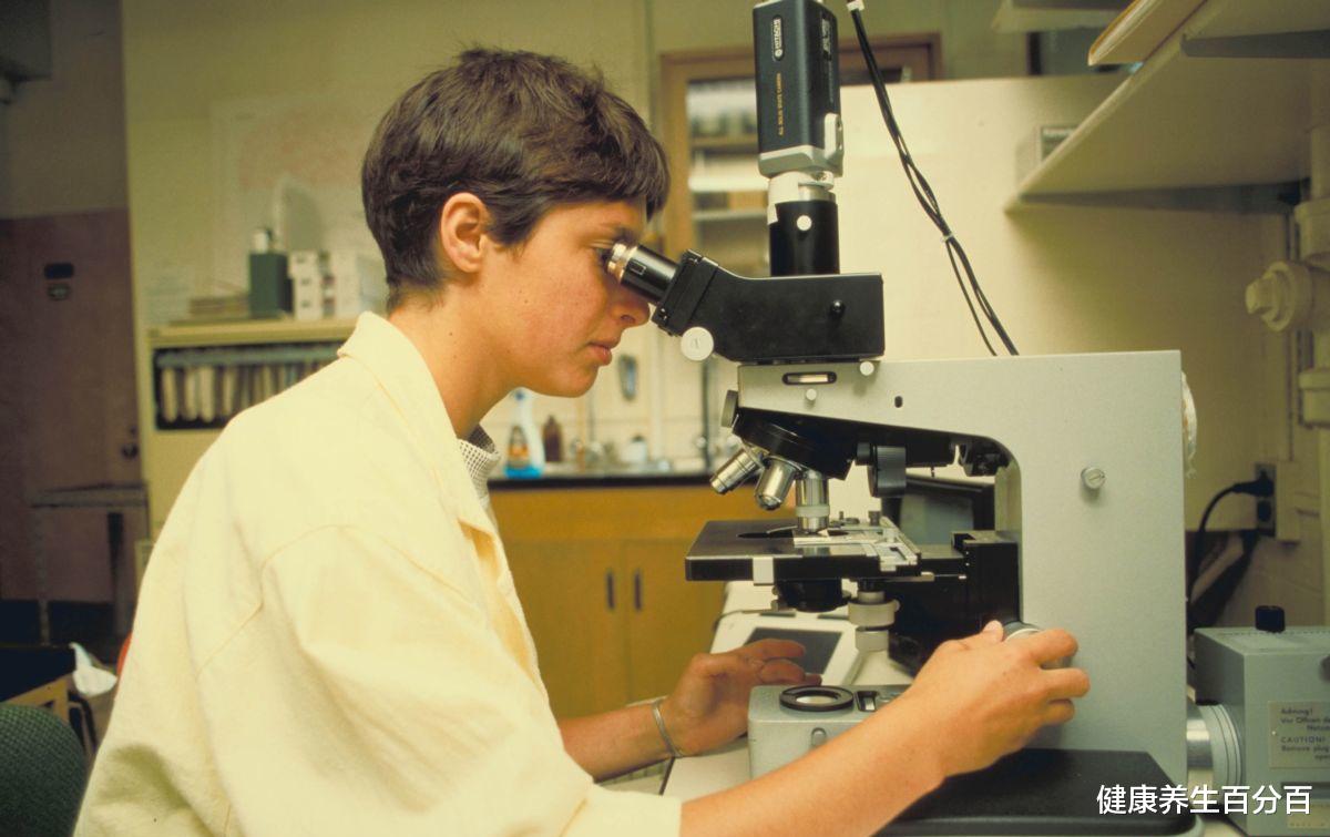 肝脏|肝纤维化是肝炎发展来的？肝纤维化还能恢复正常吗？多久到肝硬化