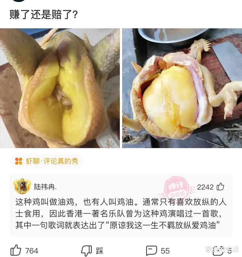 |“什么行业可以让普通人翻身?”评论区简直神了,绝对是可以让人翻身的职业!