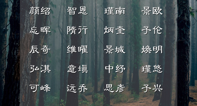 |一听就是帅气公子的男孩名字，风度翩翩，令人欣羡