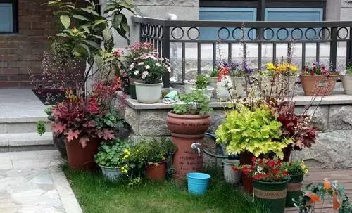 武汉|老公贪便宜买一楼带院子的房子,住了半年,气得我想跟他离婚