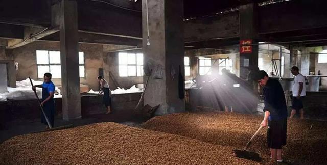 长寿与衰老|男人若不想变成“糟老头”,夏天这2种酒要少喝,难喝还容易显老