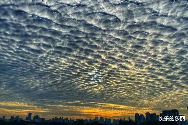 从科学角度讲,动物有没有预兆地震的能力?又是如何感知到的?