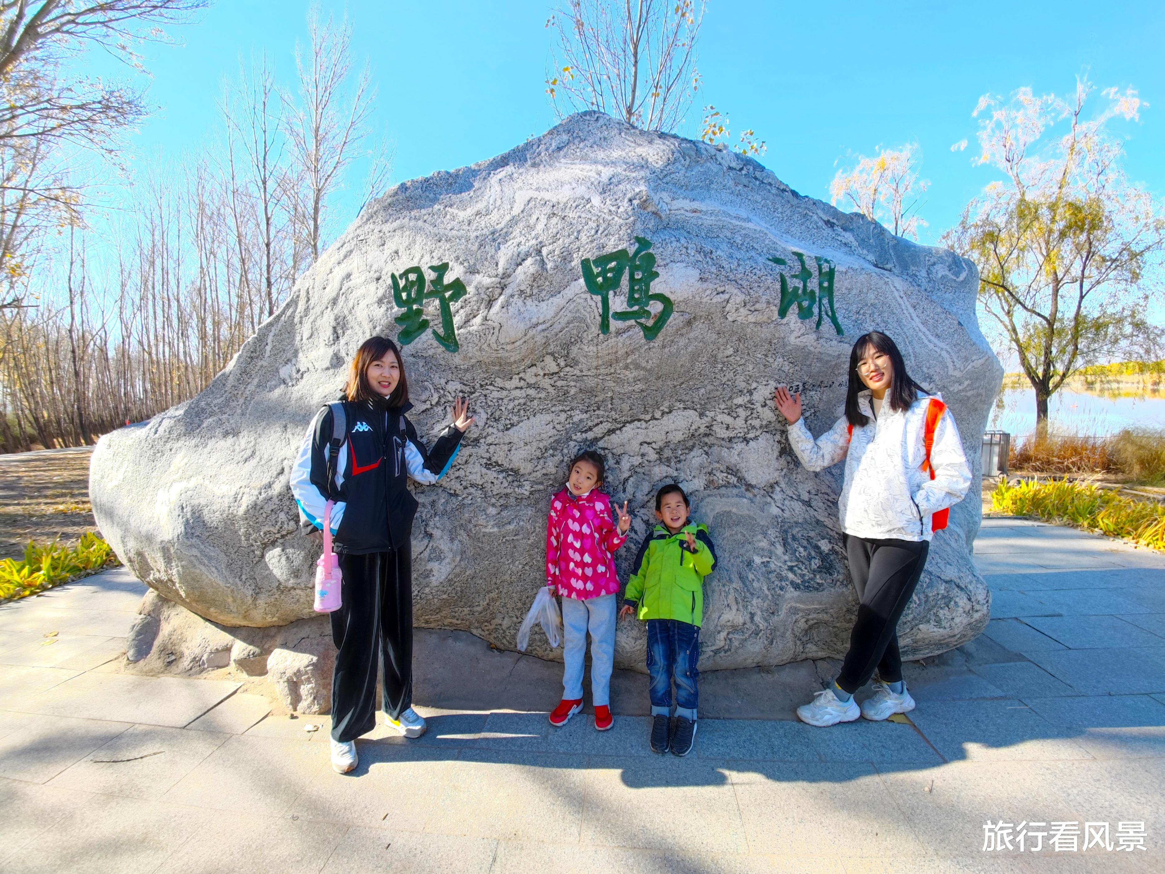 北京市|北京秋色迷人的公园，超大面积的芦苇与芦花，上万鸟类来此相会