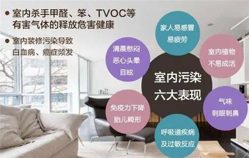 哪种除甲醛产品靠谱?答案与你想的可能不一样!