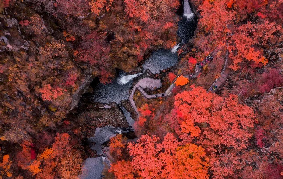 安徽|比日本唯美,比香山震撼,浪漫醉人的小城,藏着中国最美的秋天!