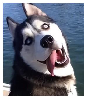 底线|靳东、成毅《底线》，名为底线却渐渐失去底线