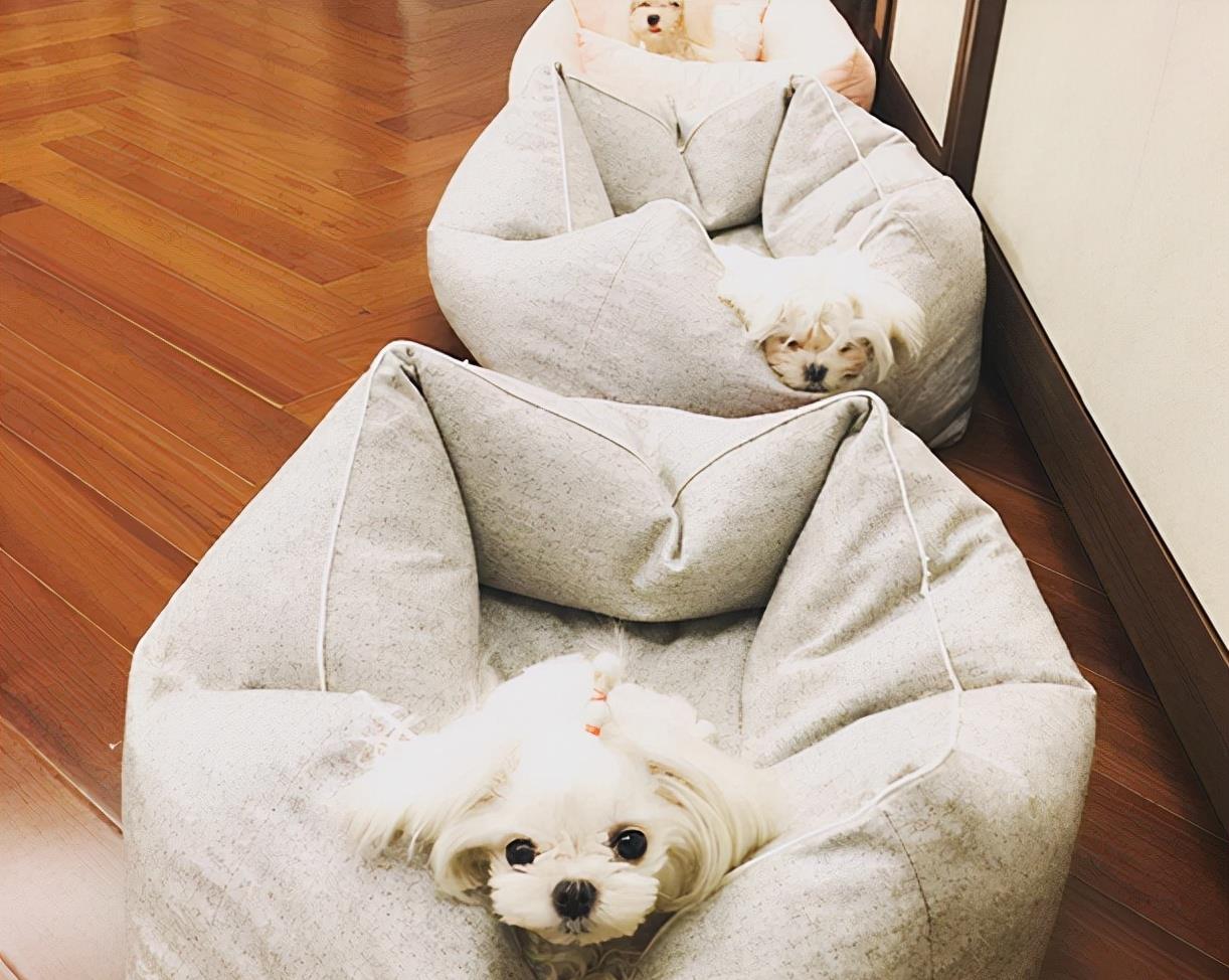 晒晒陈赫现实的家,装修跟普通人家一样,如今把心思都放在女儿上