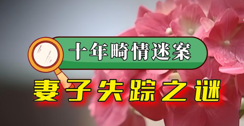 2014年,妻子失踪四月,引出“十年畸情”!神秘短信暗藏“玄机”
