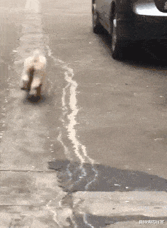 穿衣搭配|“这是阿里巴巴20年前的招聘广告，那时的工资真的不低哈！”