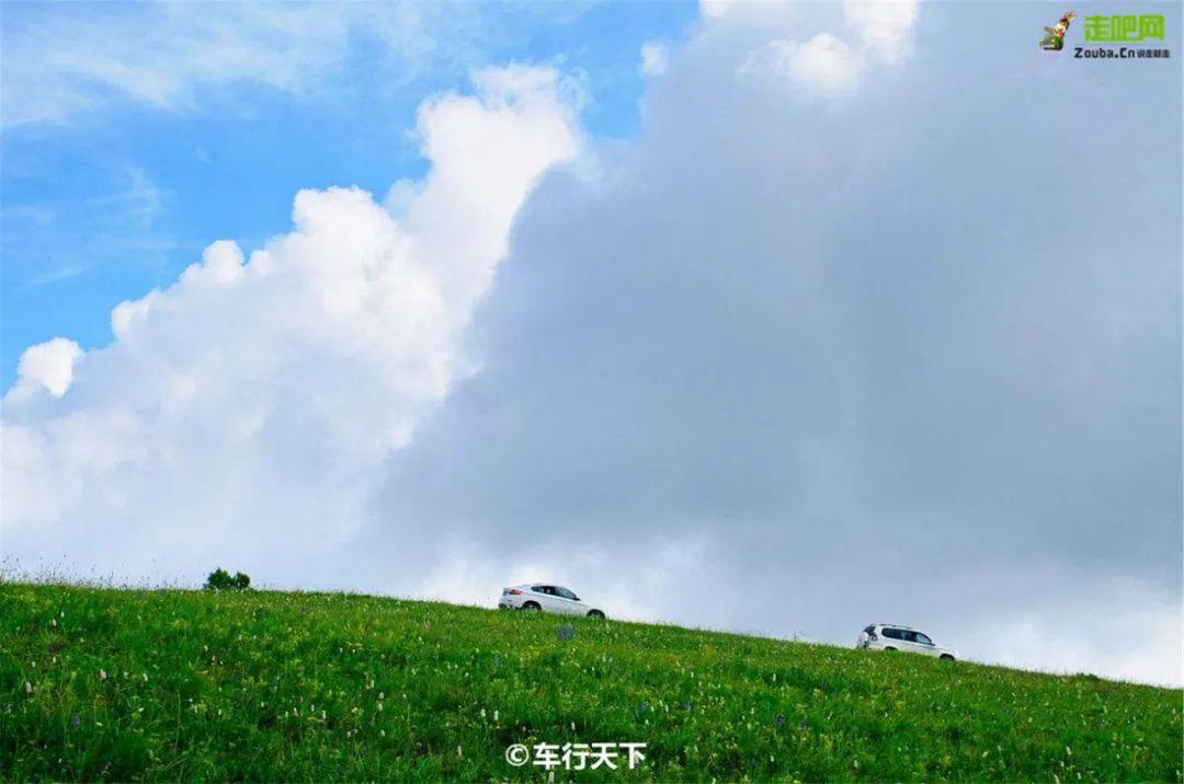 自驾|抓住暑假的尾巴！这14个最佳避暑目的地，景美人少不扎堆