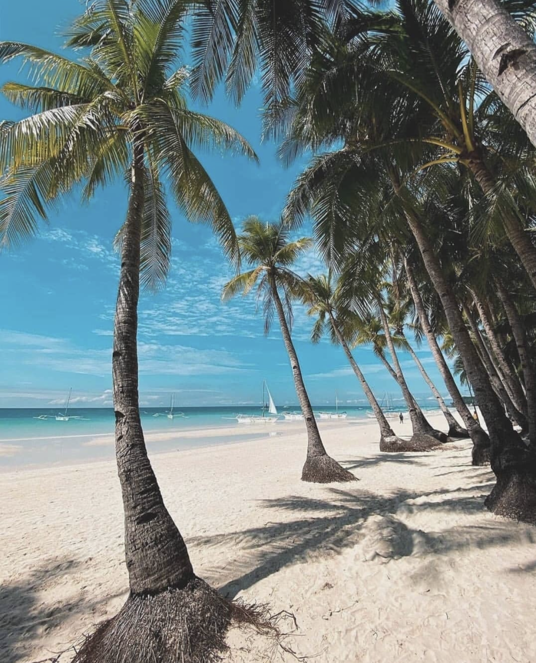 海岛|菲律宾开放！2年前挖到的小众海岛，终于可以和你们分享了
