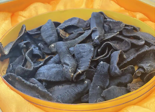 鸡如果吃了水蛭,水蛭可以钻破鸡的肠胃,长期在鸡的体内吸血吗?
