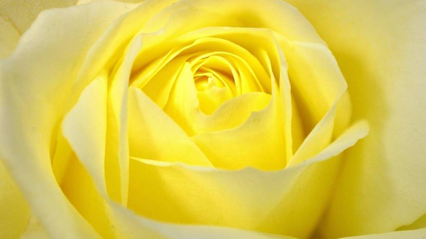 |早上被闹钟唤醒后,先睁开眼睛5分钟,你知道吗?