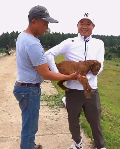 废话文学|同是视频“火”的，为何大毛落幕，邓刚爆红，一切皆因利益而起？