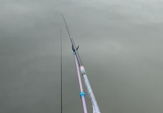 |针对新手，钓鱼要注意什么？不是从宇宙大爆炸开始讲起的（一）