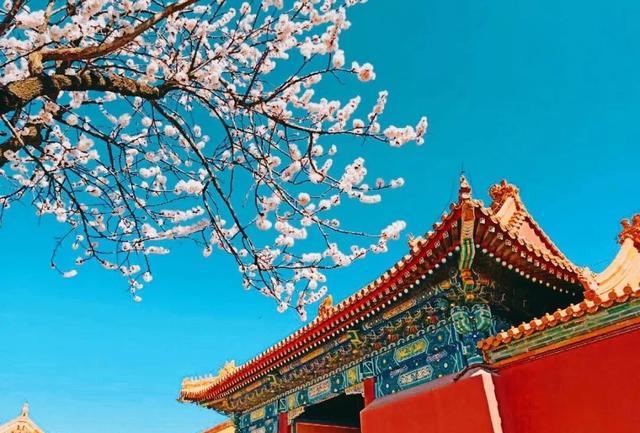 姹紫嫣红的春天，学习六个摄影技巧，拍摄别样风情的花朵照片