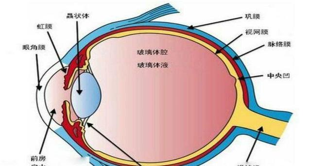 生命源于宇宙是真的?多名宇航员的身体,都曾发生“不可逆”变化