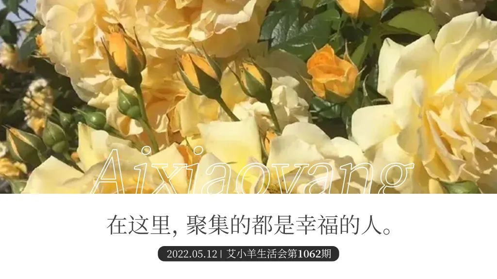 医生 艾小羊：发量的秘密