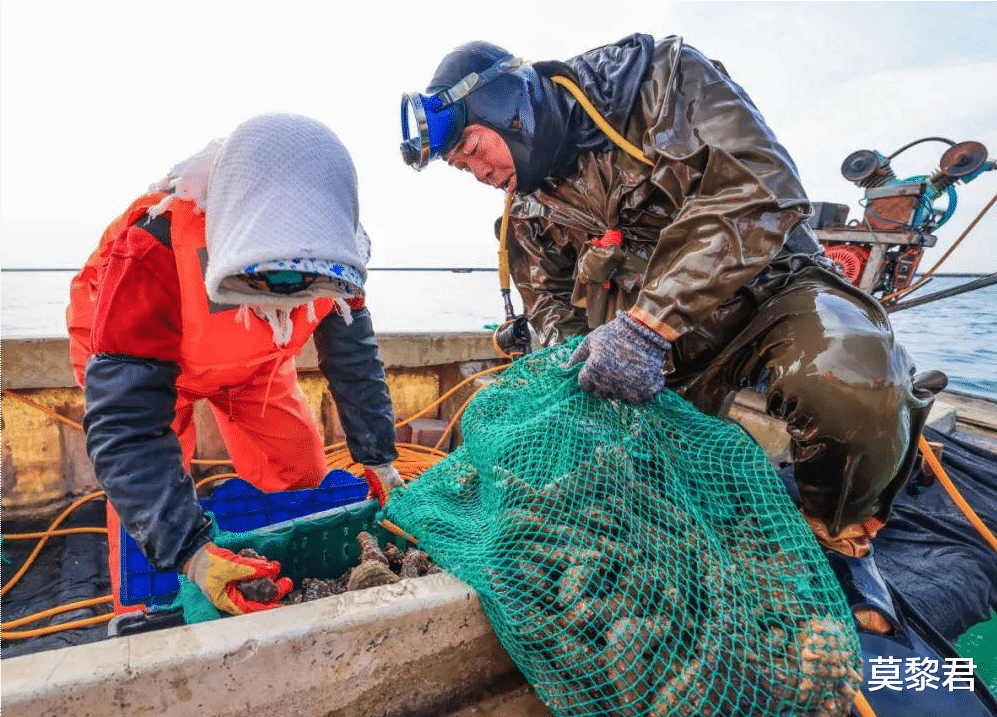 招聘|到处都是高薪招聘海员的信息,大家为什么不愿去做海员呢?