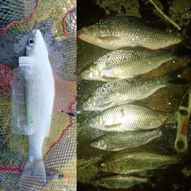 |【作钓报告】2022钓鱼之路已走完,2023开拓新的天地解锁新鱼种