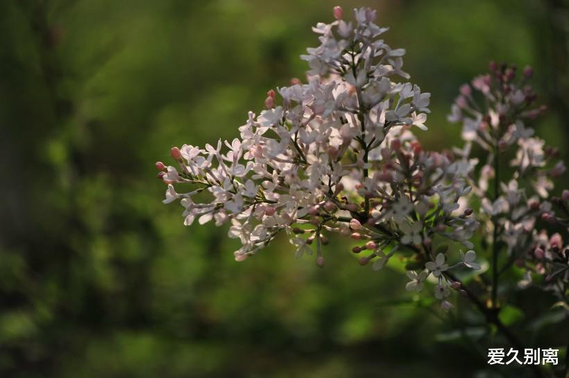 |八月第四周，这些星座：深耕细作，多方调查，谋求突破