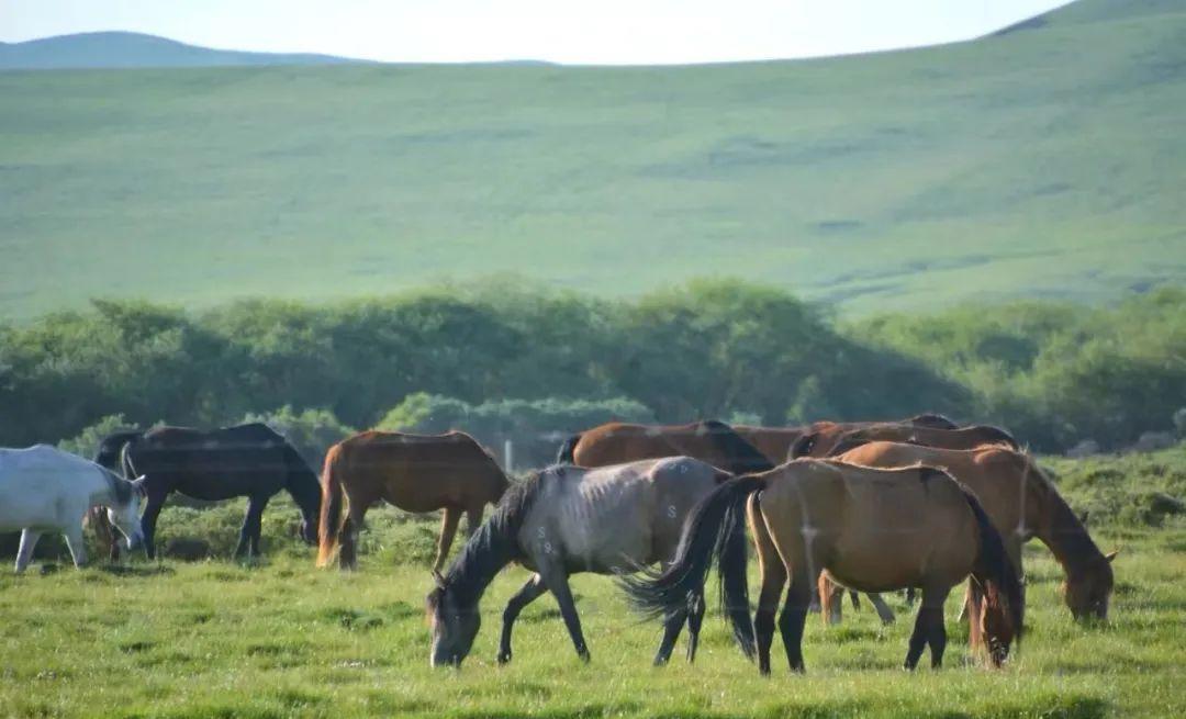 小红书|《隐入尘烟》，是这座西北最绚烂的千年古城，比敦煌还瑰丽