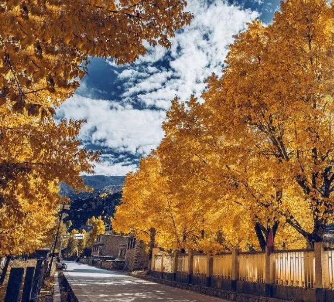 婺源|秋冬最值得去的赏秋地，11、12月沿途美成天堂，错过等一年！