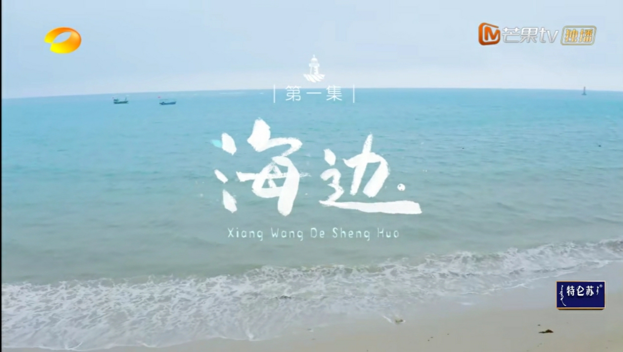 向往的生活|《向往的生活》第六季首播，关键绩效指标竟是捕鲨鱼，信息板尽显节目组求生欲！