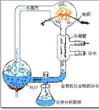 生命起源:达尔文进化论中的几个未解之谜