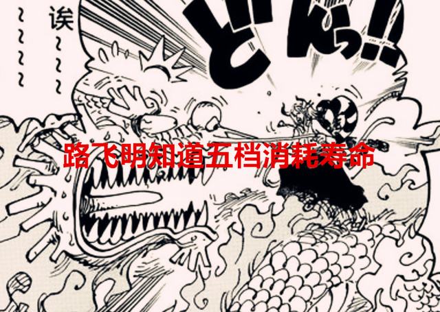 路飞|海贼王1046话解读：路飞五档消耗寿命，为啥还要变身？只因有他