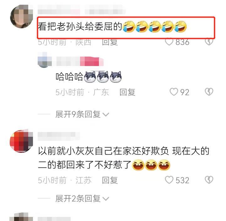 姐姐|孙海洋向网友诉苦,孙卓姐弟三人“不好惹”,一言不合就被“怼”