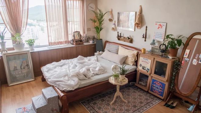 韩国25岁女主的独居生活:住60㎡小家,与宠物为伴,生活幸福