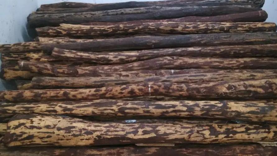 小叶紫檀|每吨价值百万的“木中之王”